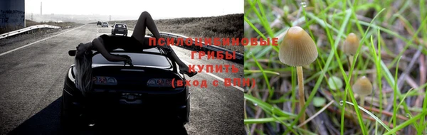 метадон Дмитровск