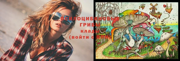 mdma Дмитров