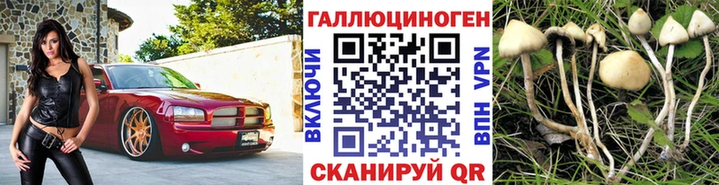Галлюциногенные грибы Psilocybe  Купить где  Вуктыл 